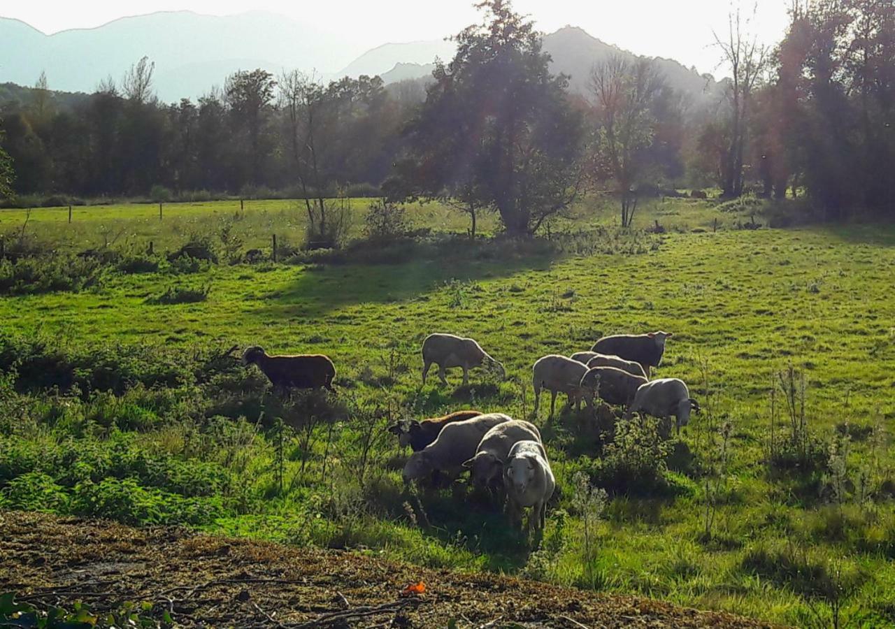 Domaine Lou Castet Bed & Breakfast Tuzaguet Bagian luar foto