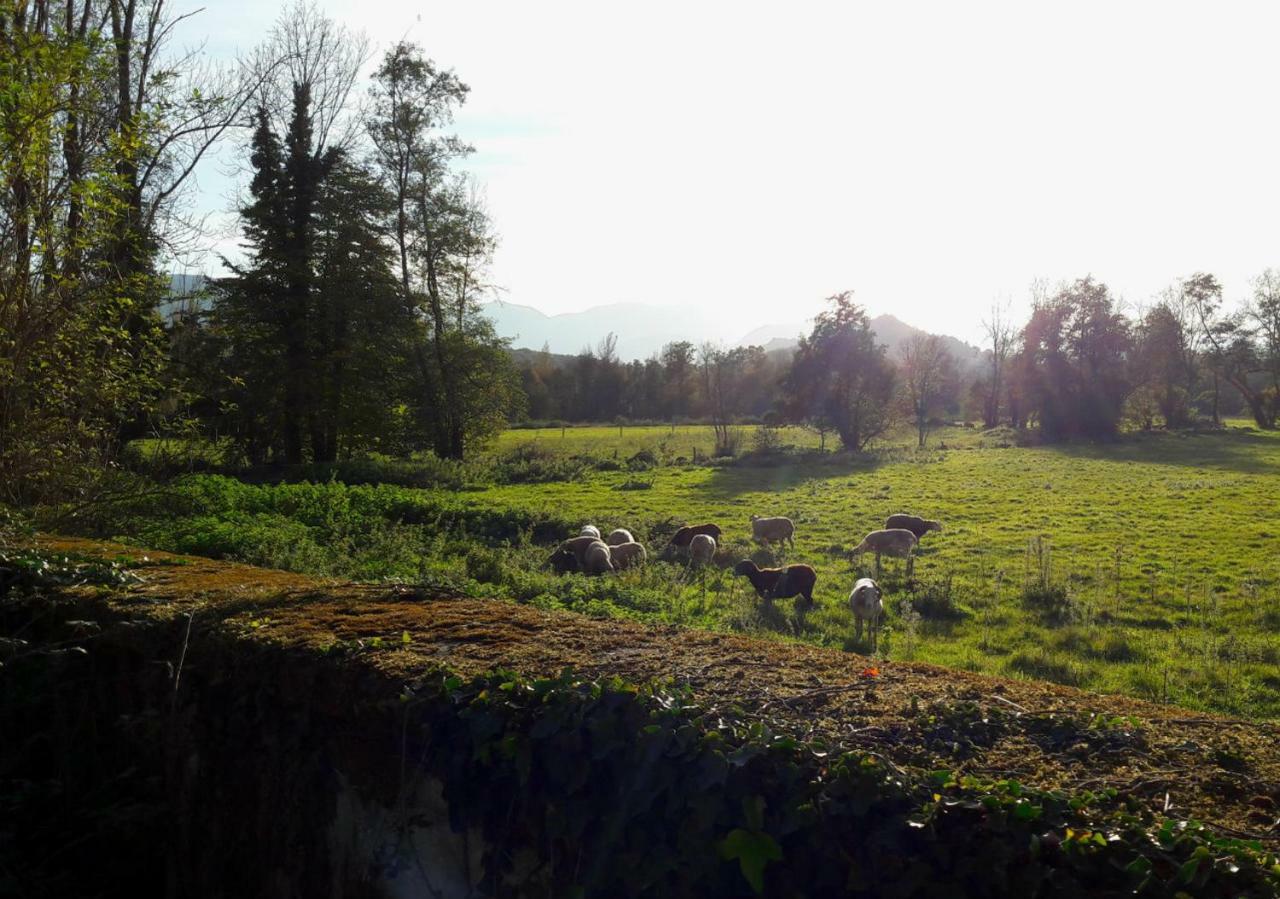 Domaine Lou Castet Bed & Breakfast Tuzaguet Bagian luar foto